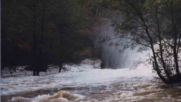 Fishing report, river Vyrnwy in flood