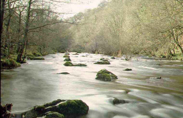 FLY FISHING THE RIVER VYRNWY FOR WILD BROWN TROUT AND GRAYLING - MID WALES