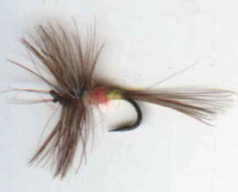 photo of dry fly dressing: tup's indispensable